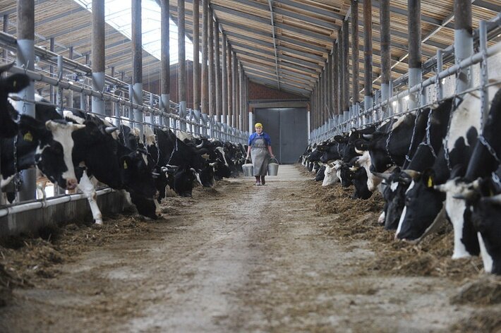 В Вавожском районе Удмуртии введено в строй здание новой молочно-товарной фермы